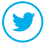 twitter-icon